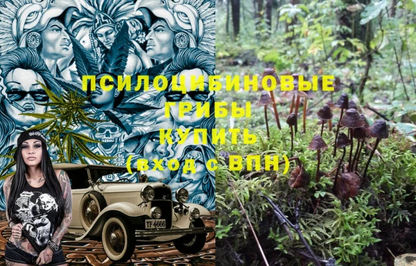 мескалин Аркадак