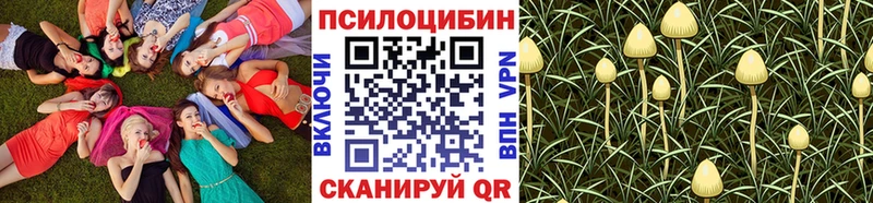 Псилоцибиновые грибы прущие грибы  МЕГА ССЫЛКА  Райчихинск 